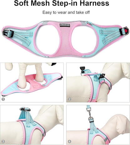 Mercano Soft Mesh Dog Harness and Leash Set, No-Chock Step-in Reflective Breathable Lightweight Easy Walk Vest Harnesses with Safety Buckle for Small Dogs, Cats (XXS, Pink Blue)