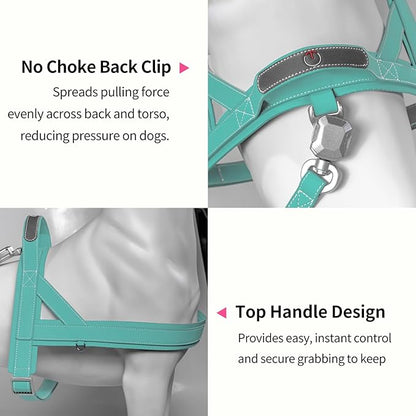 Magnetic Dog Harness and Leash Set with Quick Release Buckle, Easy On & Off Faux Leather Puppy Harness and Leash with Handle for Medium, Large Sized Dog