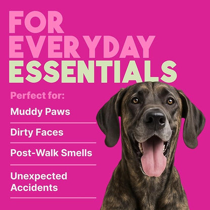 TropiClean Deep Cleaning Pet Wipes, 100ct - Wipes for Dogs & Cats - Gently Removes Dirt, Dander & Smells - for Pet Paws, Face, Body & Bottom - Sweet Berry & Coconut Scent