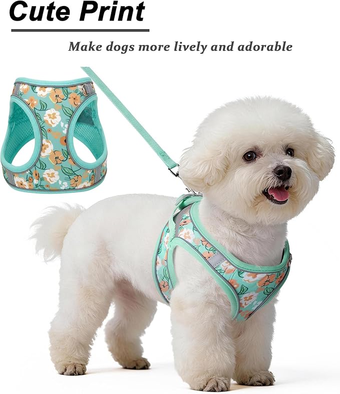 S Floral Green Pattern Dog Harness and Leash Set,No Escape Harnesses for Training Walking，Breathable Adjustable Puppy Vest for Small Medium Dogs, Cats (Turquoise, S)
