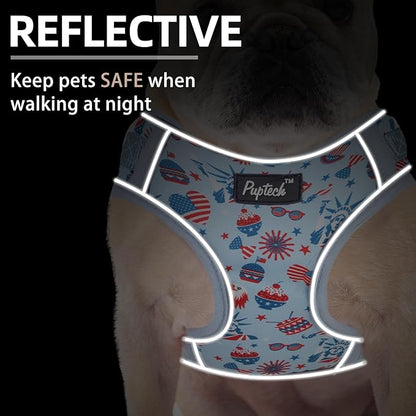 PUPTECK Small Dog Harness and Leash Set, No Pull Adjustable Puppy Cat Harness, Reflective Soft Mesh Pet Vest Small Sized, American Style, M