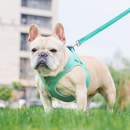 PUPTECK Dog Harness and Leash Set for Small Medium Dogs No Pull Step-in Soft Mesh Puppy Cat Vest Harnesses Reflective at Night, Denim Green XS