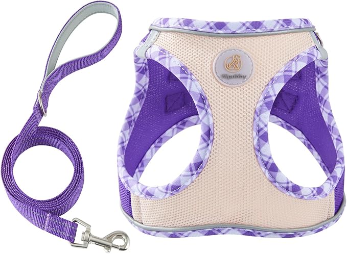 Hipubby Dog Harness Small Sized and Leash Set, No Pull Soft Mesh Puppy Vest, Reflective Breathable Lightweight Pet Harness, Harness for Small Medium Dogs and Cats - Purple/White Trim, XXS