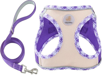Hipubby Dog Harness Small Sized and Leash Set, No Pull Soft Mesh Puppy Vest, Reflective Breathable Lightweight Pet Harness, Harness for Small Medium Dogs and Cats - Purple/White Trim, XXS