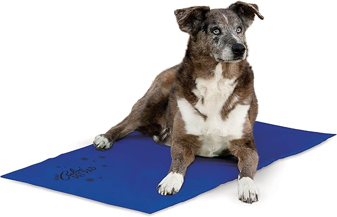 K&H Pet Products Coolin' Pet Pad Dog Mat, Portable Dog Cooling Mat for Travel or in Home, Perfect for Carriers, Crates, Outdoor Houses, Yards, Porches, Pet Beds & More - X-Large 38 X 27in Chill Blue