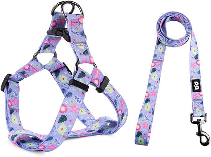 QQPETS Dog Harness Leash Set Adjustable Heavy Duty No Pull Halter Harnesses for Small Medium Large Breed Dogs Back Clip Anti-Twist Perfect for Walking