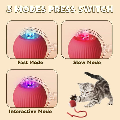 2 Pack Interactive Cat Toy Balls for Indoor, Interactive Puppy Toys Ball with Tail, Automatic Activate Cat Toys with 360° Fast Smart Movement, USB Rechargeability and Durable Enrichment Toy