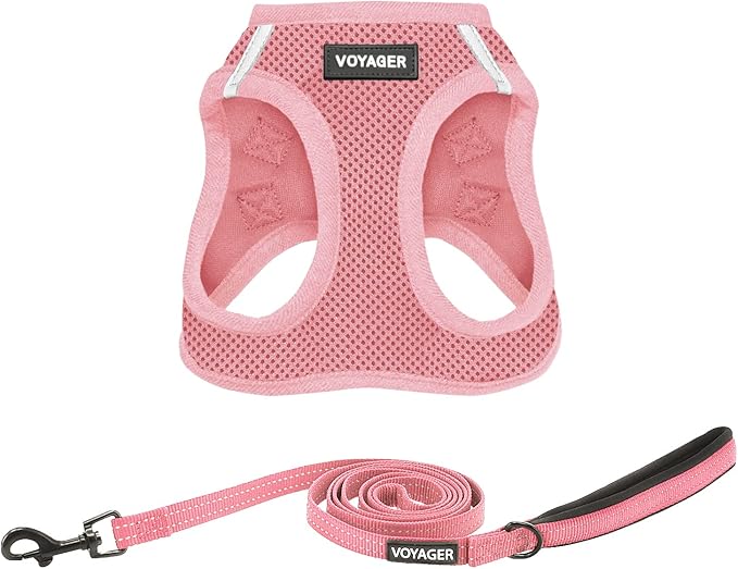 Best Pet Supplies Voyager Step-in Air All Weather Mesh Harness and Reflective Dog 5ft Leash Combo with Neoprene Handle, for Small, Medium and Large Breed Puppies - Set (Pink), XX-Small