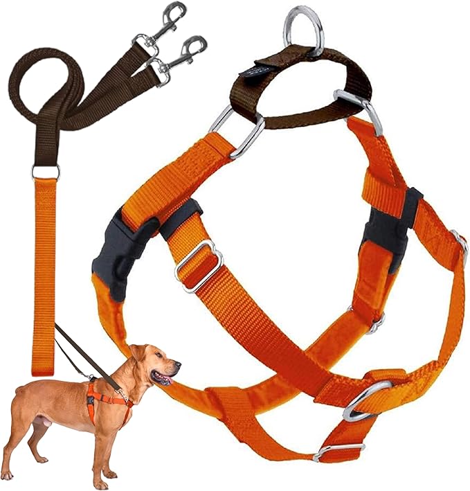 2 Hounds Design Freedom No Pull Dog Harness, Adjustable Harness and Leash Set, Easy Walking & Comfortable Control, Fits Small, Medium & Large Dogs, Solid Colors, Made in USA, 1" XL, Neon Orange