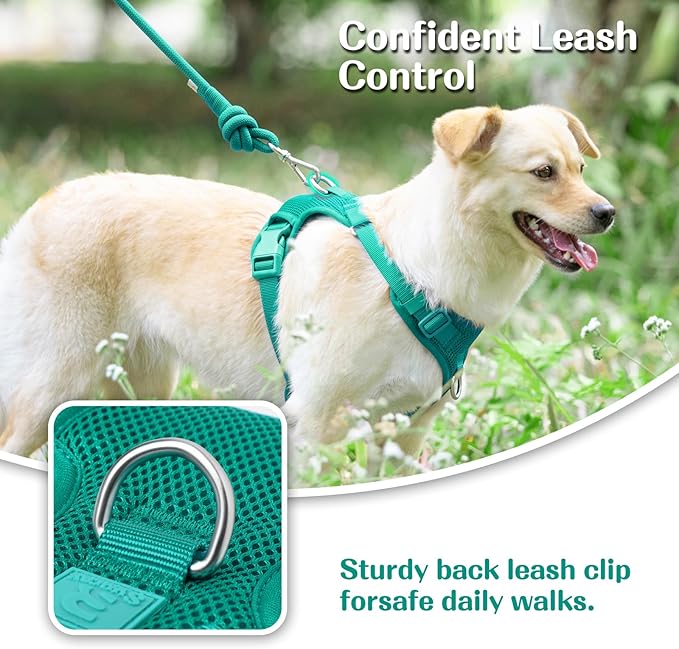 No Pull Dog Harness for Small Medium Large Dogs - Adjustable 2 Layer Mesh Dog Vest with Dual Clip, Escape Proof, Quick Release, Lightweight Breathable Mesh for Walking Hiking (MARRS Green,M)