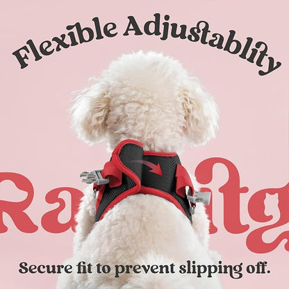 rabbitgoo Dog Harness Small Sized and Leash Set, Step-in Breathable Pet Harness, Soft Walking Reflective Puppy Vest for Small Dogs, Black & Red, XS
