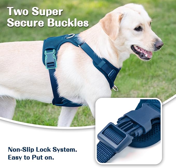 No Pull Dog Harness for Small Medium Large Dogs - Adjustable 2 Layer Mesh Dog Vest with Dual Clip, Escape Proof, Quick Release, Lightweight Breathable Mesh for Walking Hiking (Prussian Blue,M)