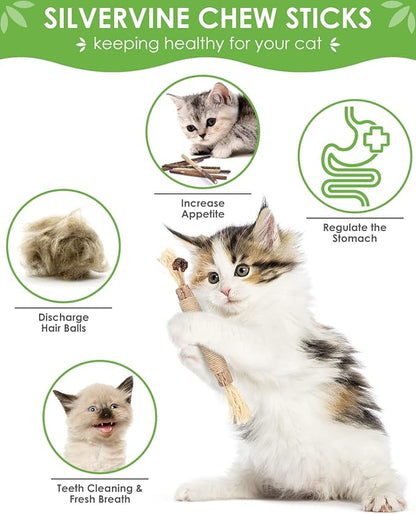 TINDTOP 12 Pack Chew Sticks for Cats, Natural Silvervine Catnip Toys for Kittens Teeth Cleaning, Matatabi Dental Care, Increase Appetite, Calm Cat Anxiety and Stress, Cat Dental Toy