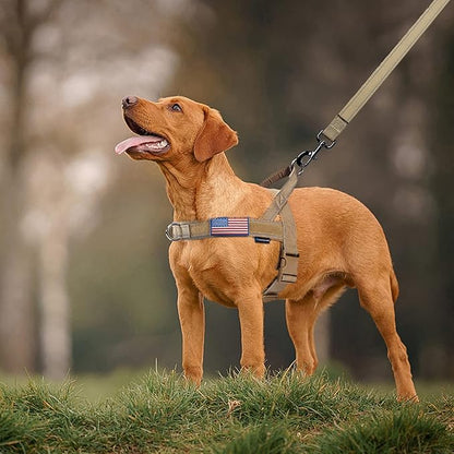Annchwool No Pull Dog Harness with Soft Padded Handle-Reflective Strip Escape Proof and Quick Fit to Adjust Dog Harness-Easy for Training Walking for Small & Medium and Large Dogs(Brown,XS,1 In Width)