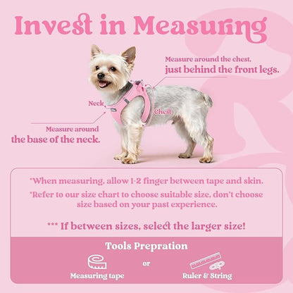 rabbitgoo Small Dog Harness, Step-in Soft Mesh Puppy Vest with Safety Buckle, Breathable Reflective Pet Harness for Extra Small Dogs, Light Pink XXXS
