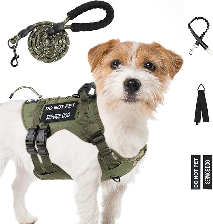 No Pull Tactical Dog Harness for Small Dogs, Escape Proof Molle Dog Vest Harness and Leash Set, Adjustable Military Service Dog Harness with Handle(Green, S)
