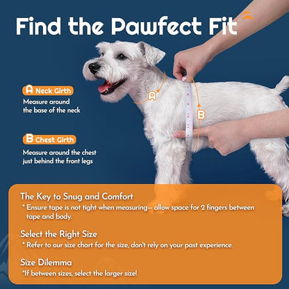 Eagloo Small Dog Harness and Leash Set, Step in Puppy Vest with Breathable Soft Mesh, Walking Reflective Pet Harness for Medium Small Dogs, Blue, L