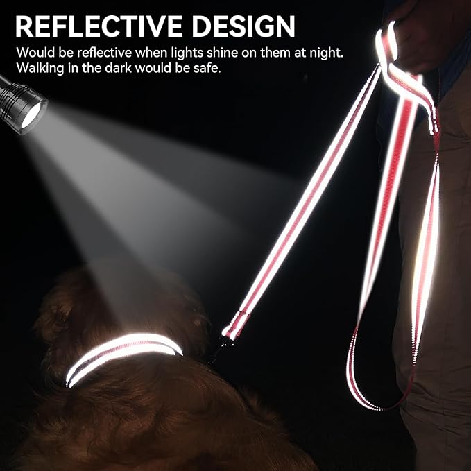 Joytale Dog Leash, 5 FT Double-Sided Reflective, Padded Handle Nylon Heavy Duty Leashes for Medium & Large Dogs Walking, Neon Pink