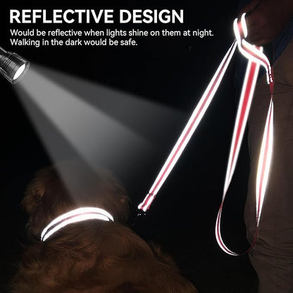 Joytale Dog Leash, 4 FT Double-Sided Reflective, Padded Handle Nylon Heavy Duty Leashes for Small Dogs Walking, Neon Pink