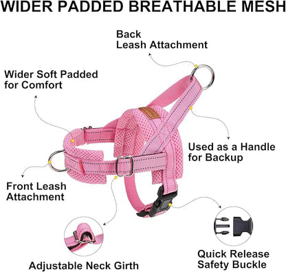 BEAUTYZOO Dog Harness Small Sized Dogs,2.0 Upgraded No Pull Front Adjustable Dog Harness and Leash Set,Escape Proof Soft Puppy Vest with Handle,Reflective Lightweight Step in Harness for Girl Boy Dogs