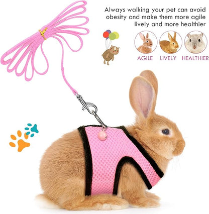 SATINIOR 2 Sets Guinea Pig Harness and Leash Adjustable Soft Mesh Harness Bell No Pulling Comfort Vest for Baby Ferret Rats Hamster Bunny Rabbit Chinchilla and Small Pet (Pink, Blue, S)