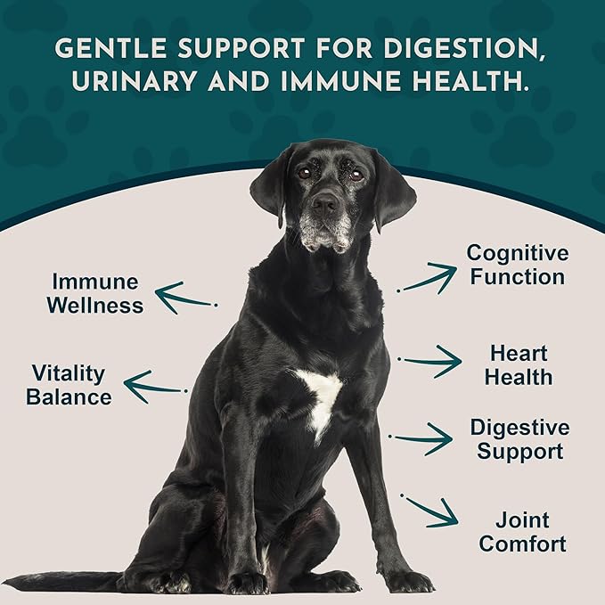Animal Essentials Senior Support for Dogs & Cats Supplement - Milk Thistle, For Old Cats & Dogs, Pet Kidney Support, Herbal Supplement - 1 Fl Oz