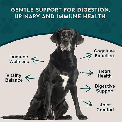 Animal Essentials Senior Support for Dogs & Cats Supplement - Milk Thistle, For Old Cats & Dogs, Pet Kidney Support, Herbal Supplement - 1 Fl Oz