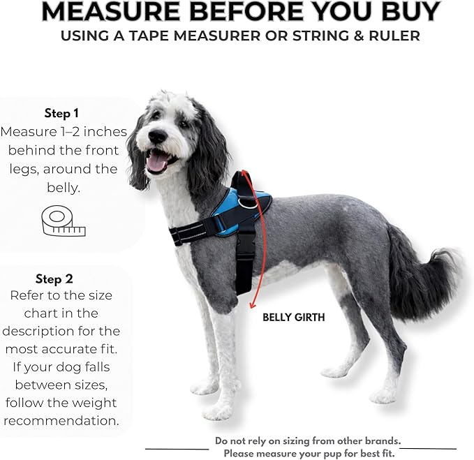 ShawnCo Essential Dog Harness, No-Pull Pet Vest with 3 Leash Clips, No Choke, Reflective, Adjustable and Padded, for Easy Walking and Training for Small, Medium and Large Dogs (ICY Lilac, XS)