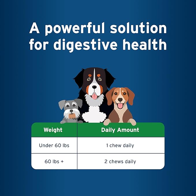 Pet Protect Digestive Health Supplement with Probiotics for Dogs, Vet-Formulated Lactoquil, Chicken-Flavored Soft Chews (60 Count)