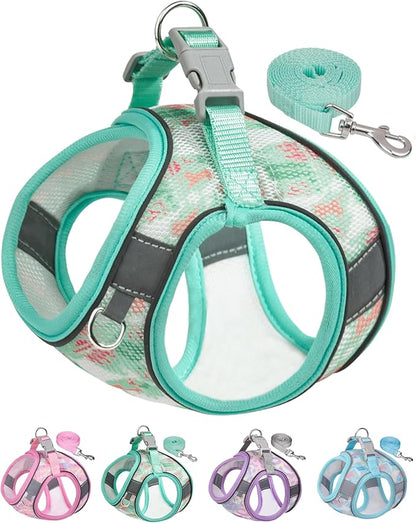 Dog Harness for Small Medium Dogs No Pull, Cat Harness and Leash Set, Step in Puppy Harness. (Green, XXS)