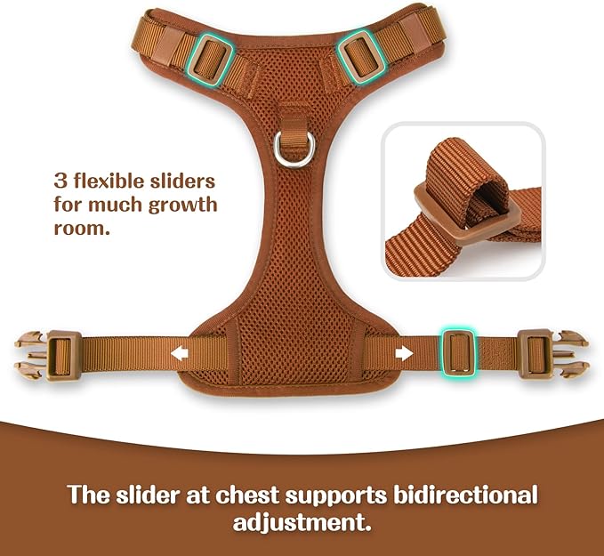 No Pull Dog Harness for Small Medium Large Dogs - Adjustable 2 Layer Mesh Dog Vest with Dual Clip, Escape Proof, Quick Release, Lightweight Breathable Mesh for Walking Hiking (Carmel Brown,M)
