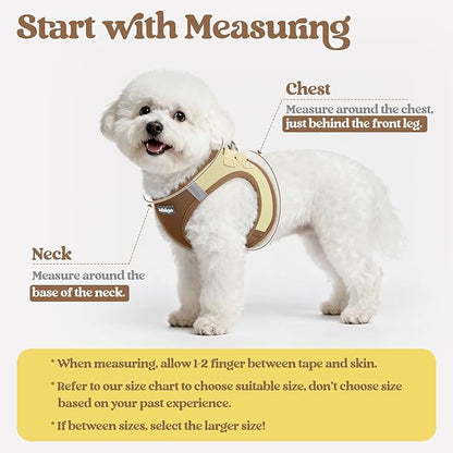 rabbitgoo Dog Harness Small Sized and Leash Set, Step in Soft Light Puppy Vest, Breathable Mesh Pet Harness, Reflective for Safe Easy Walking, Brown & Beige S