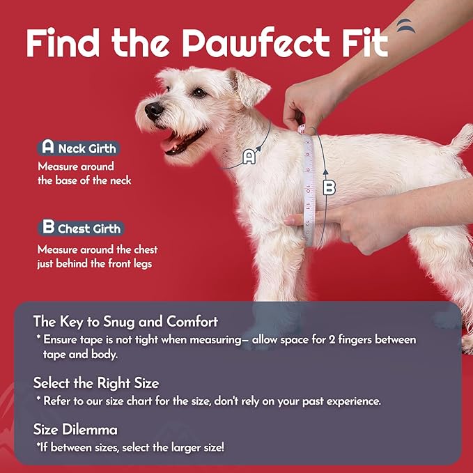 Eagloo Small Dog Harness and Leash Set, Step in Puppy Vest with Breathable Soft Mesh, Walking Reflective Pet Harness for Extra Small Dogs, Red, XXS