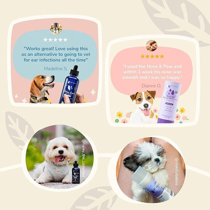 kin+kind Complete Grooming Kit 1