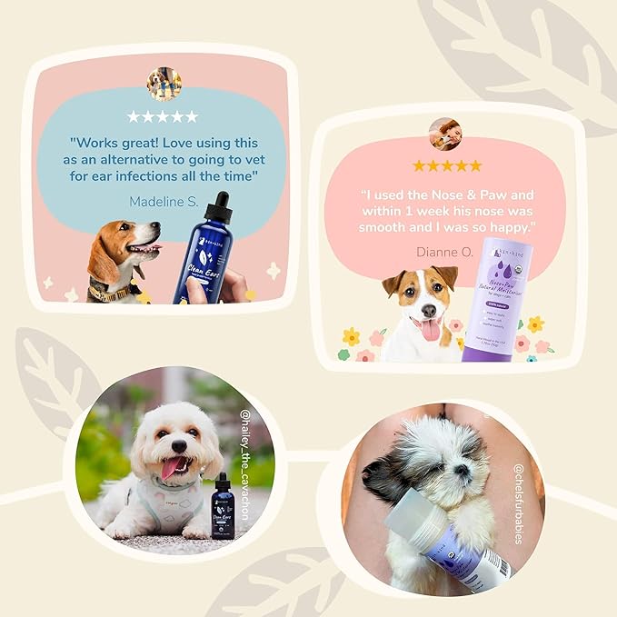 kin+kind Complete Grooming Kit 2