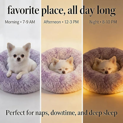Calming Donut Dogs Beds for Small Dogs Washable,19inch Fluffy Round Puppy Bed for Puppies,Cats & Toy Breeds with Raised Rim,Fits up to 15 lbs Pets,Gradient Purple