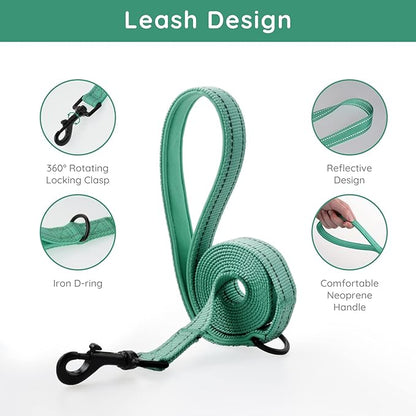 BELLA & PAL Step in Vest Harness for Small and Medium Dogs, No Pull Small Dog Harness with Leash Set, Comfortable Air Mesh Dog Vest Harness with Reflective Strip (Emerald, M)