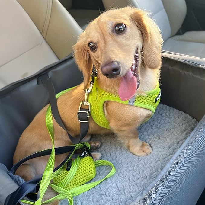 Best Pet Supplies Voyager Step-in Air All Weather Mesh Harness and Reflective Dog 5ft Leash Combo with Neoprene Handle, for Small, Medium and Large Breed Puppies - Set (Lime Green), XX-Small