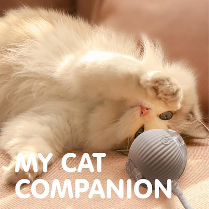 Rocfish Durable Interactive Cat Toys for Indoor Cats, Smart Automatic Cat Chase Ball Toy, Upgraded Speedy Tail Kitten Toy for Bored Indoor Adult Pets (Grey)