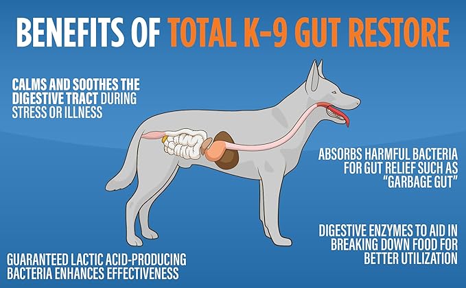 Dog Gut Restore Supplement – Probiotics & Digestive Enzymes for Dogs, Supports Gut Health, Stool Balance & Immune Support – Oral Paste Syringe 60g, Made in USA