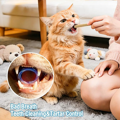 3.52oz Freezed Dried Cat Teething Sticks, Cat Chew Stick for Dental Care, Salmon Chicken Flavour Cats Treats, Feline Freshens Breath Snacks