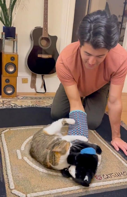 Cat Wrestling Glove Puppet – Interactive Hand Mitt with Durable Protective Sleeve and Catnip - Play & Enrichment