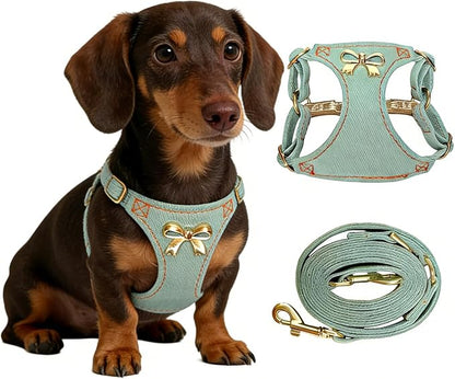 No Pull Dog Harness and Leash Set for Small Sized Dog Training; Puppy Harnesses with Multifunction Dog Leash, Soft Adjustable Denim No Choke Escape Proof Pet Harness for Small and Medium Dog (Teal S)