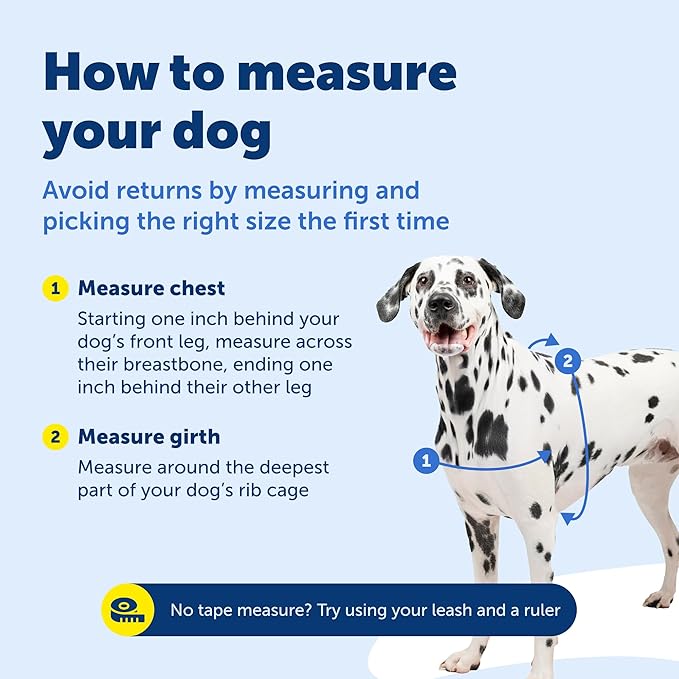 PetSafe Easy Walk Harness for Dogs - Pull-Free Walks - Patented Martingale Loop Design - Front Chest Leash Attachment - Comfort Straps - Breathable Harness Design - Petite/Small, Black/Silver