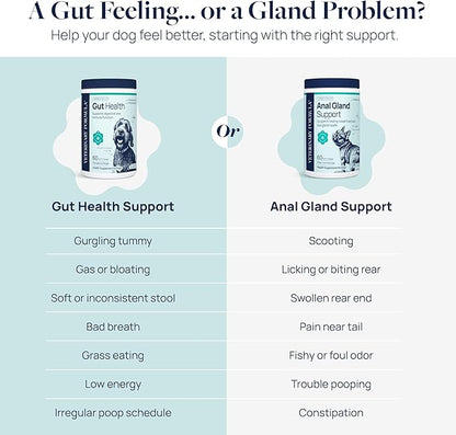 Veterinary Formula Anal Gland Support for Dogs – Vet-Formulated No Scoot Chews with Pumpkin, Ginger, Agave Inulin & Probiotics – Supports Scooting, Stool Quality & Digestive Health, 60 Soft Chews