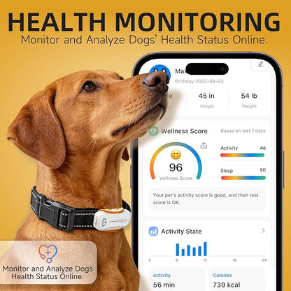 DBDD AI GPS Tracker for Dogs (30lbs+), Real Time Location and AI Health Assistant, Electronic Fence, Waterproof, iOS and Android Universal (D5-White)