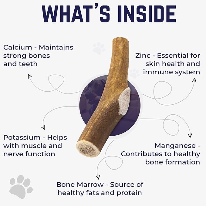 Devil Dog Pet Co. Elk Antler for Dogs Beast 15 oz Min Extra Thick - Longest Lasting Dog Chew for Giant Breed Power Chewers - Naturally Shed Grade A Rocky Mountain Elk, Anxiety & Boredom Relief (95+)