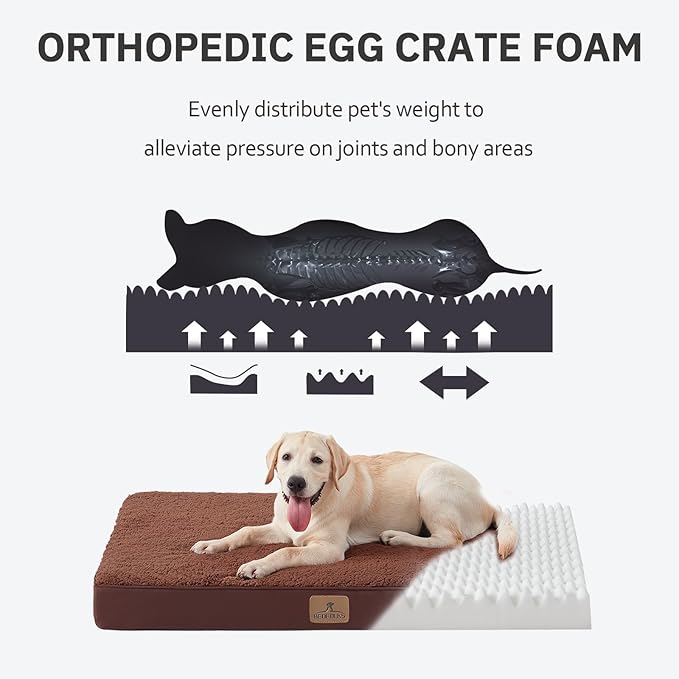 Bedfolks Orthopedic Dog Bed for Large Dogs - Egg Foam Dog Crate Bed with Removable Waterproof Cover, Pet Bed Mat Suitable for Dogs and Pets Up to 65 lbs (36 x 27 x 3 inches, Brown)