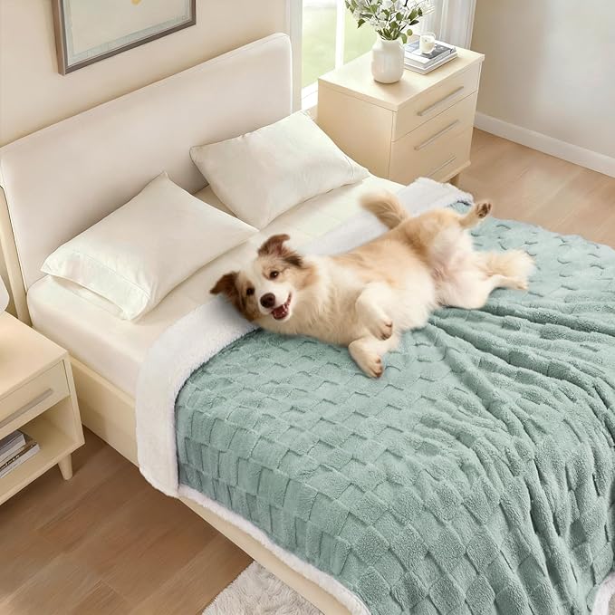 Luciphia Waterproof Dog Blanket, Leakproof Small Pet Blanket for Couch Sofa Bed Furniture Cover Protector, Washable Soft Sherpa Fleece with 3D Jacquard, Cozy Calming Reversible, Green White, 40"x28"