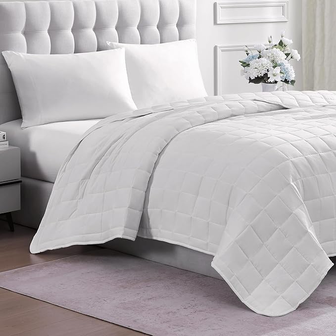 Casa Platino White Ultra Soft Pre-Washed Lightweight Down Alternative All Season Twin Size Bed Blanket